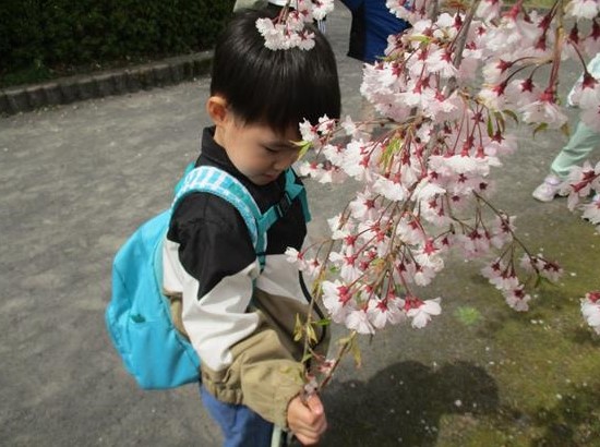 児童発達支援センター 花りんご「お花見」